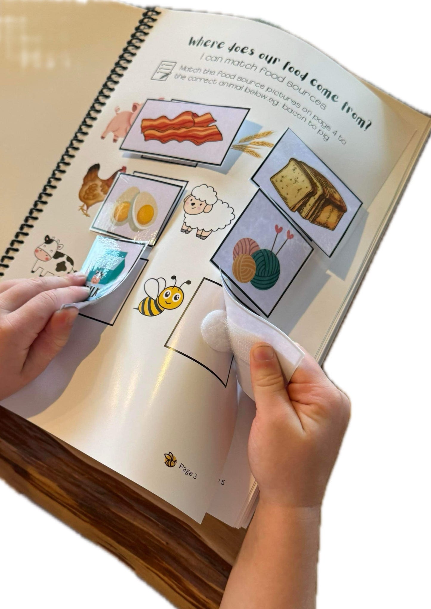 The Ultimate Busy Little Bee Book